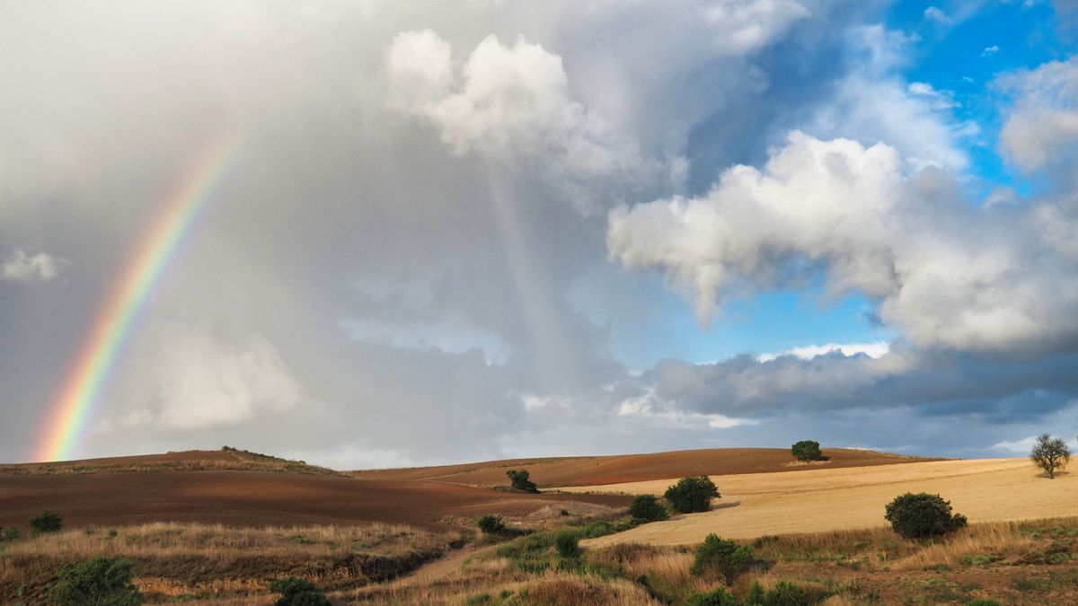La luz que cada uno ve 