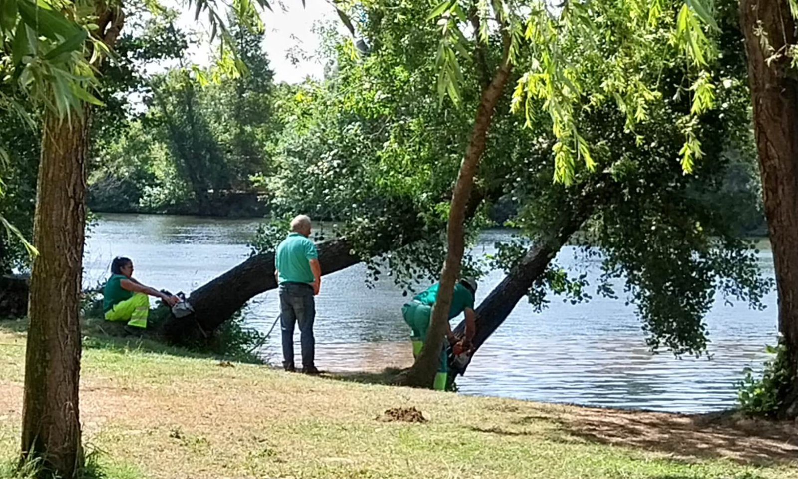 Retirados dos árboles de la entrada al agua de los niños en El Picón