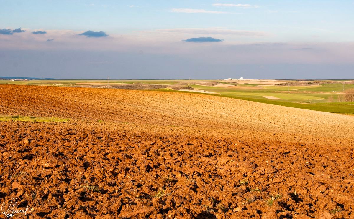 Crecimiento interior