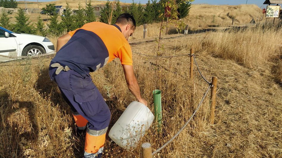 Alba de Tormes realiza desbroces selectivos en el Camino de las Mariposas para proteger su fauna