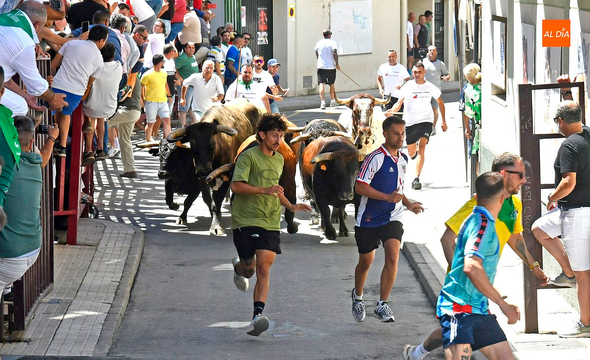 Segundo encierro de San Buenaventura limpio y rápido, con casi veinte minutos de retraso