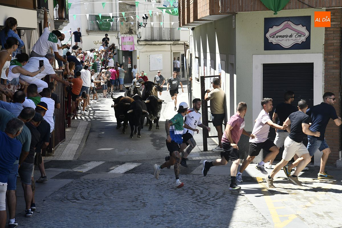 Un encierro con seis novillos de Carmen Valiente despide las fiestas de San Buenaventura en Moraleja