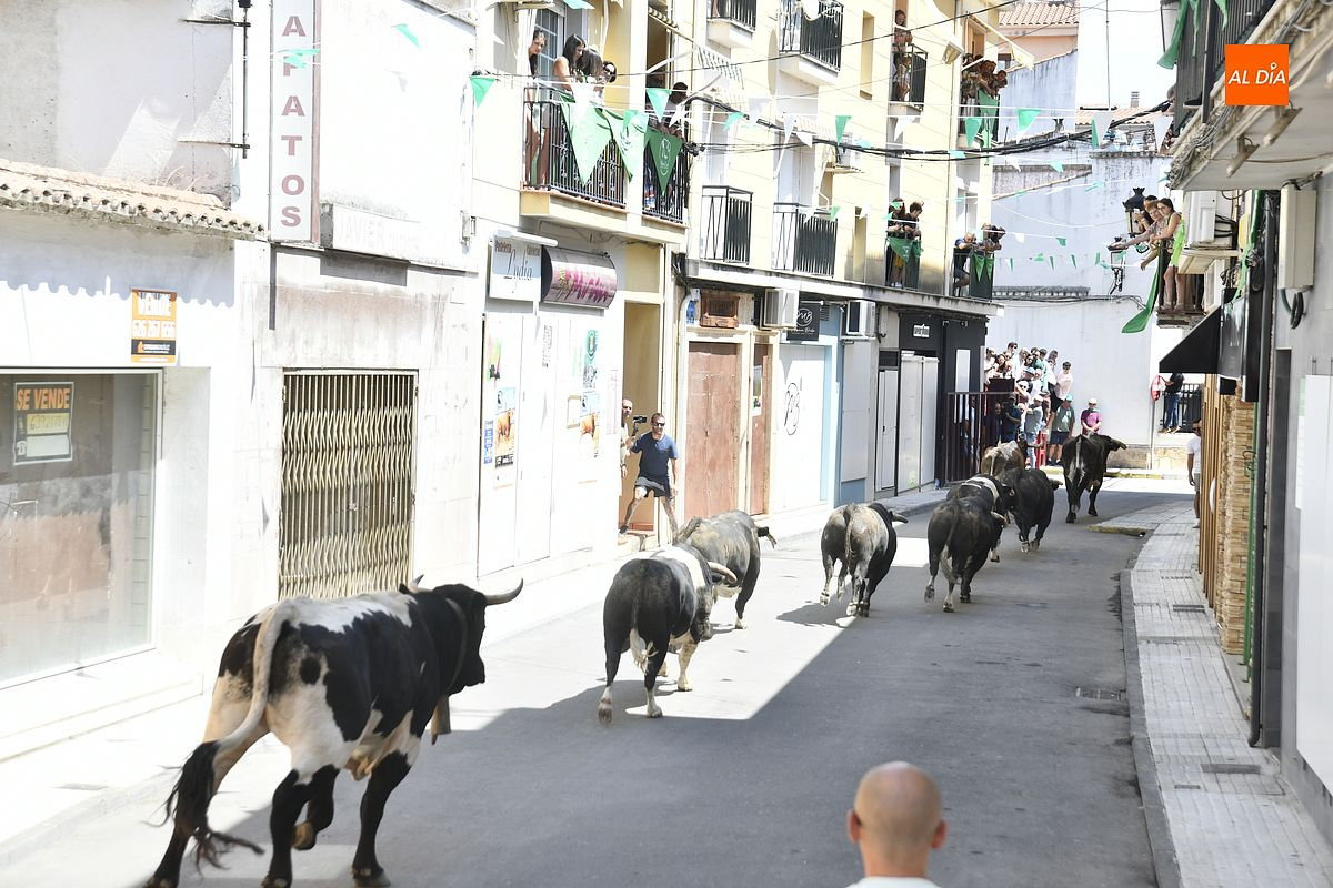Los temidos ‘ Patas Blancas de Victorino Martín protagonizan un encierro casi en solitario