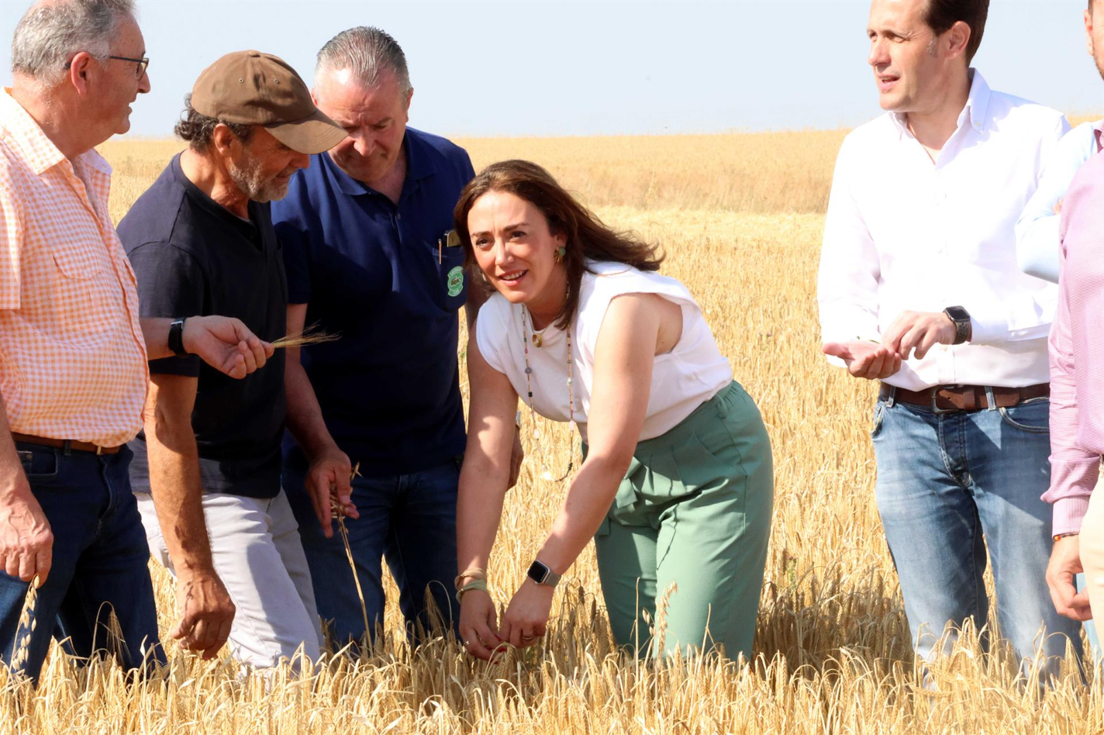 CyL tendrá una cosecha excelente con 8,12 millones de toneladas, la segunda en quince años 