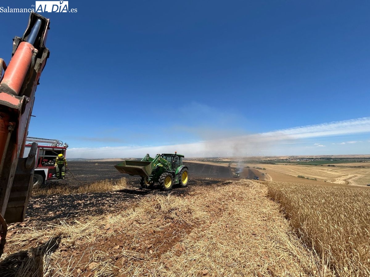 VÍDEO | Gran movilización por tierra y aire para sofocar un virulento incendio en Amatos de Alba