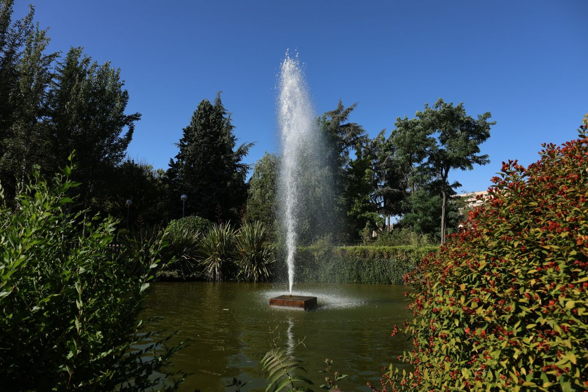 Sociedad y soledad 1 SEPT.