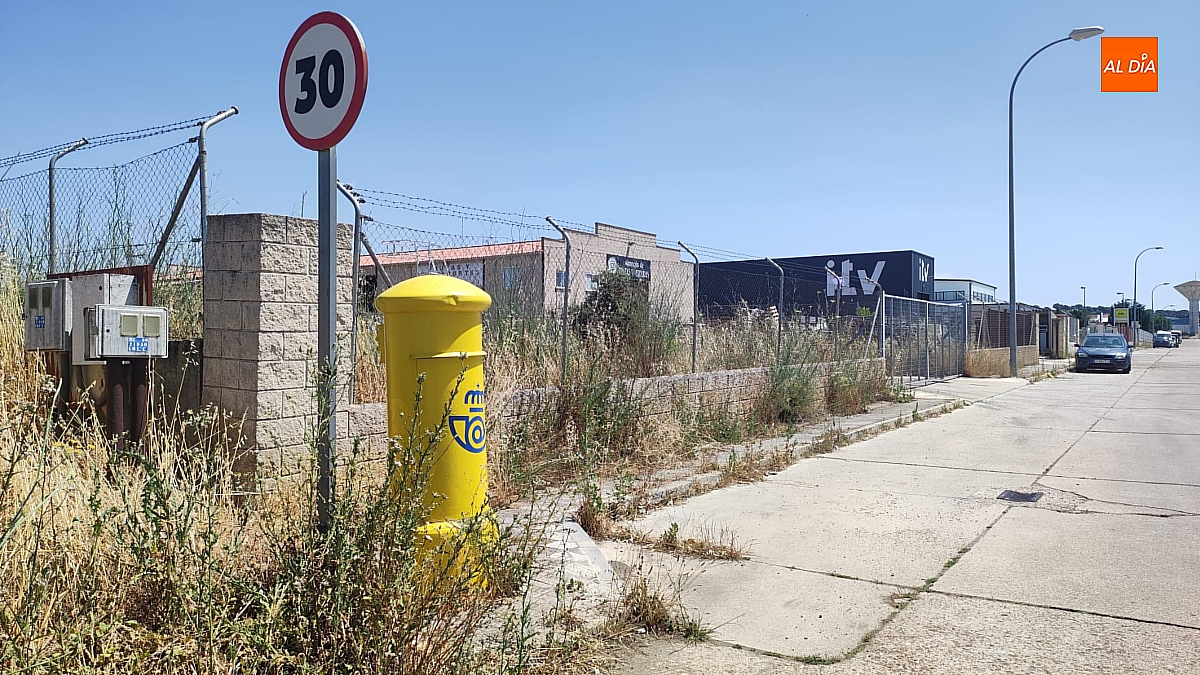 Empresarios del Polígono Las Viñas reclaman limpieza y atención viaria en sus calles