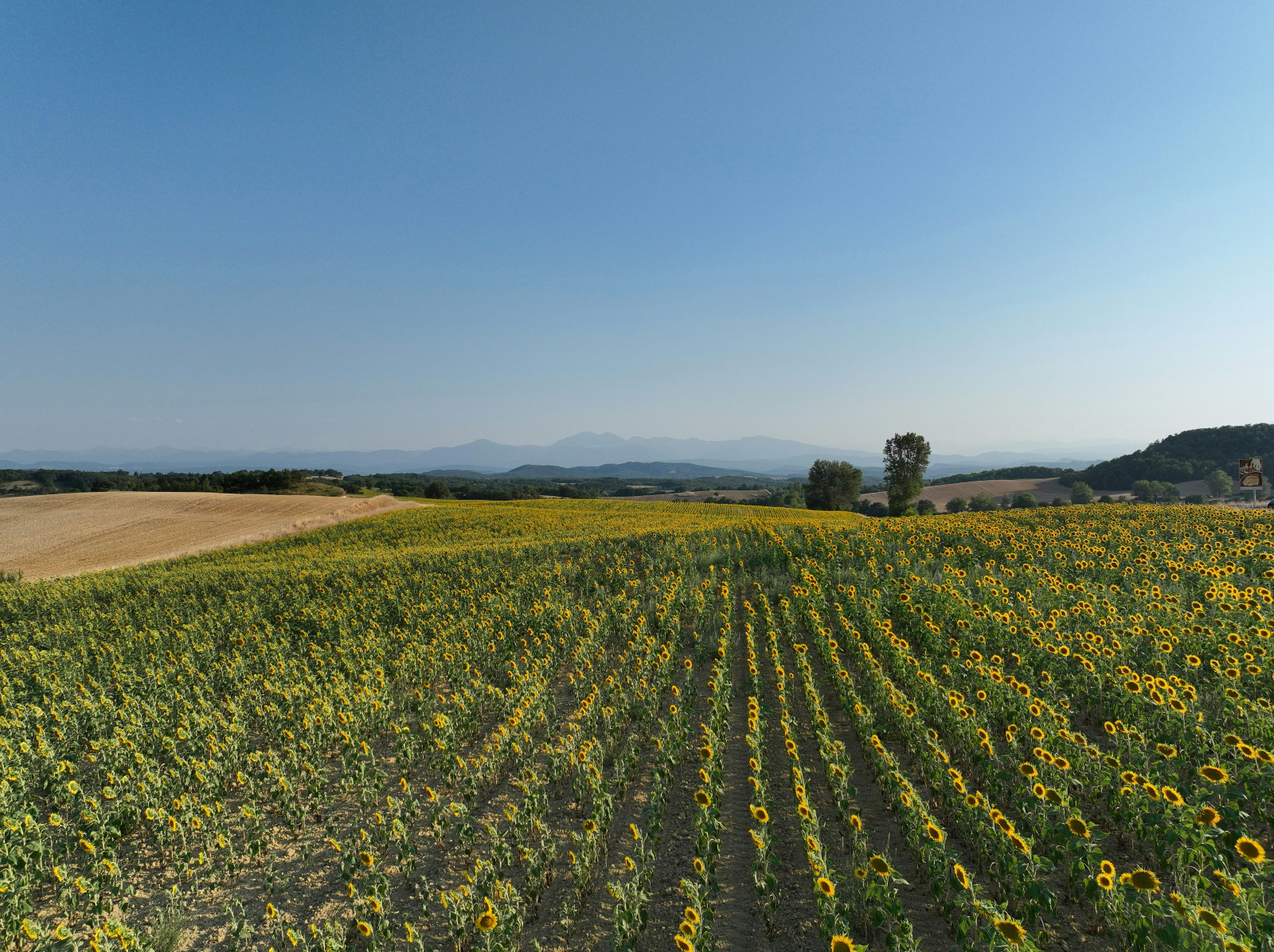 Software para una gestión agrícola sostenible: Ayudando a los negocios agroalimentarios a adaptarse y prosperar