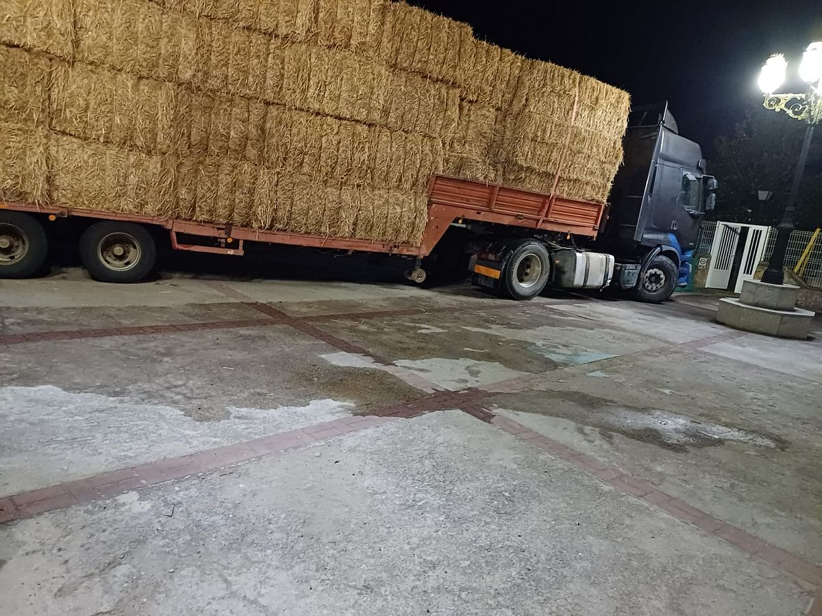 Un camión sufre un accidente por las rejillas trampa de la travesía de Alameda de Gardón