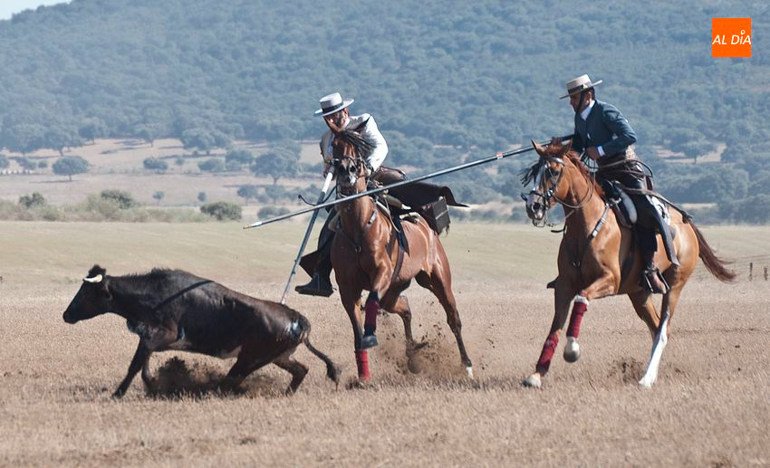 Encuentra adjudicataria la barra de bar del Concurso de Faenas y Doma de Campo