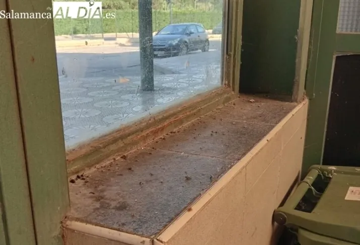 Juan Antonio Pascual denuncia que la empresa del bar de la estación debe 10.000 euros y opera con la concesión caducada | Imagen 1