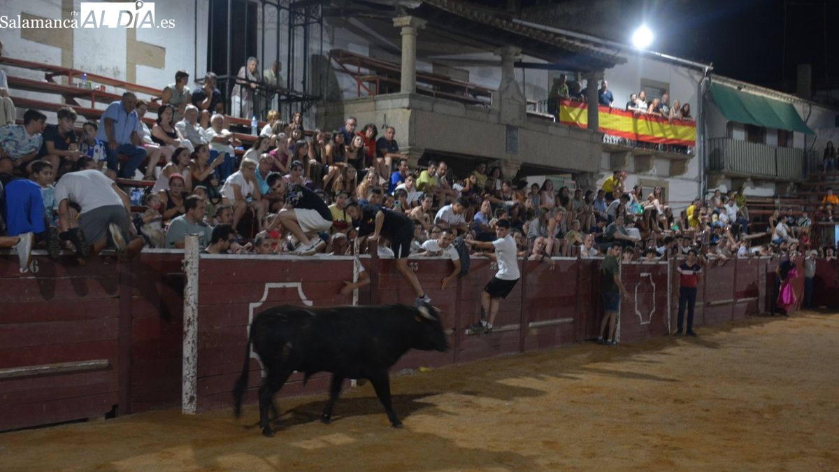 La capea de tres toros de cajón anima la noche del domingo en Lumbrales