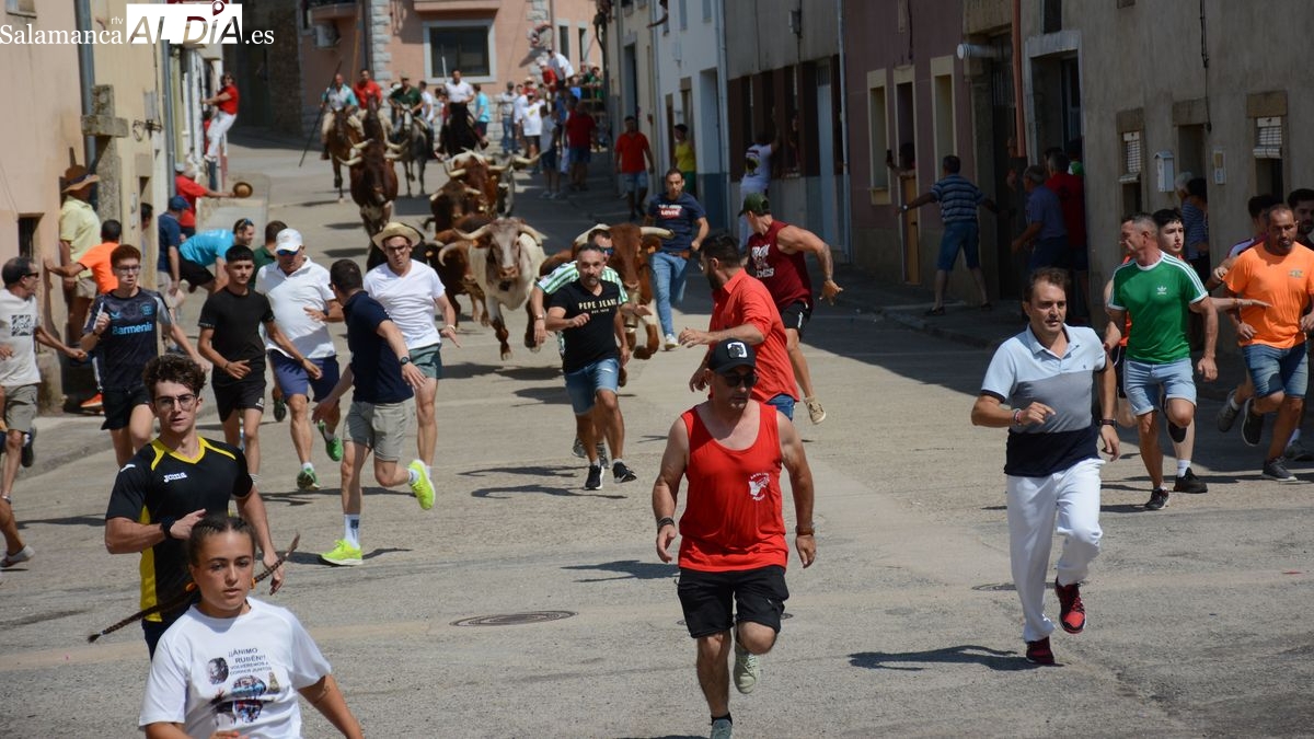 El primer encierro a caballo de las fiestas de Toros de Lumbrales atrae a numeroso público