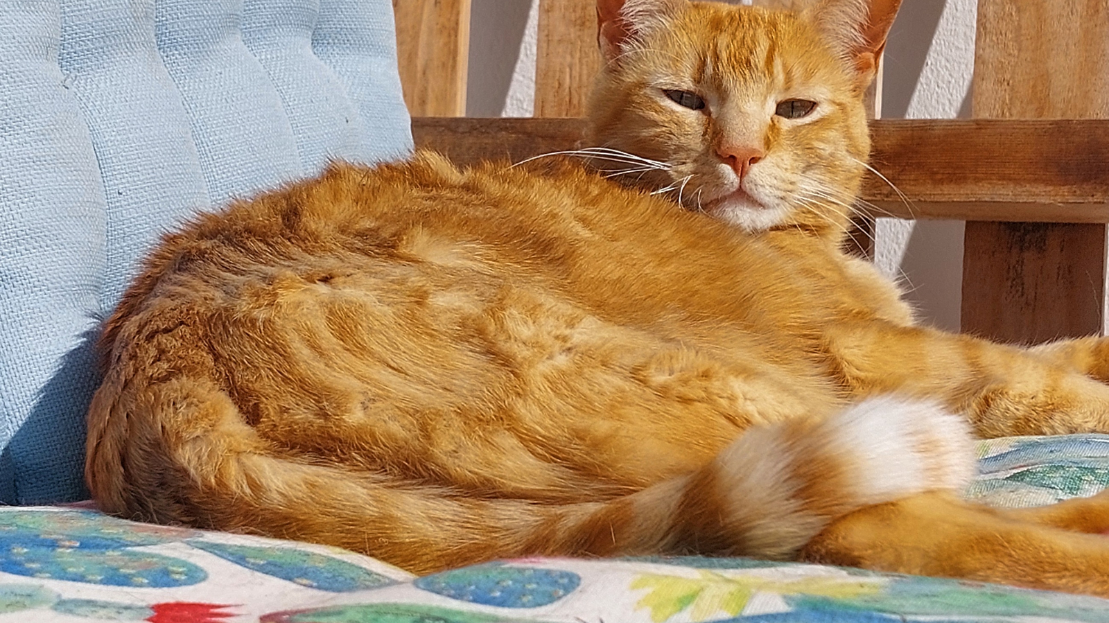 Nada más noble que el descanso