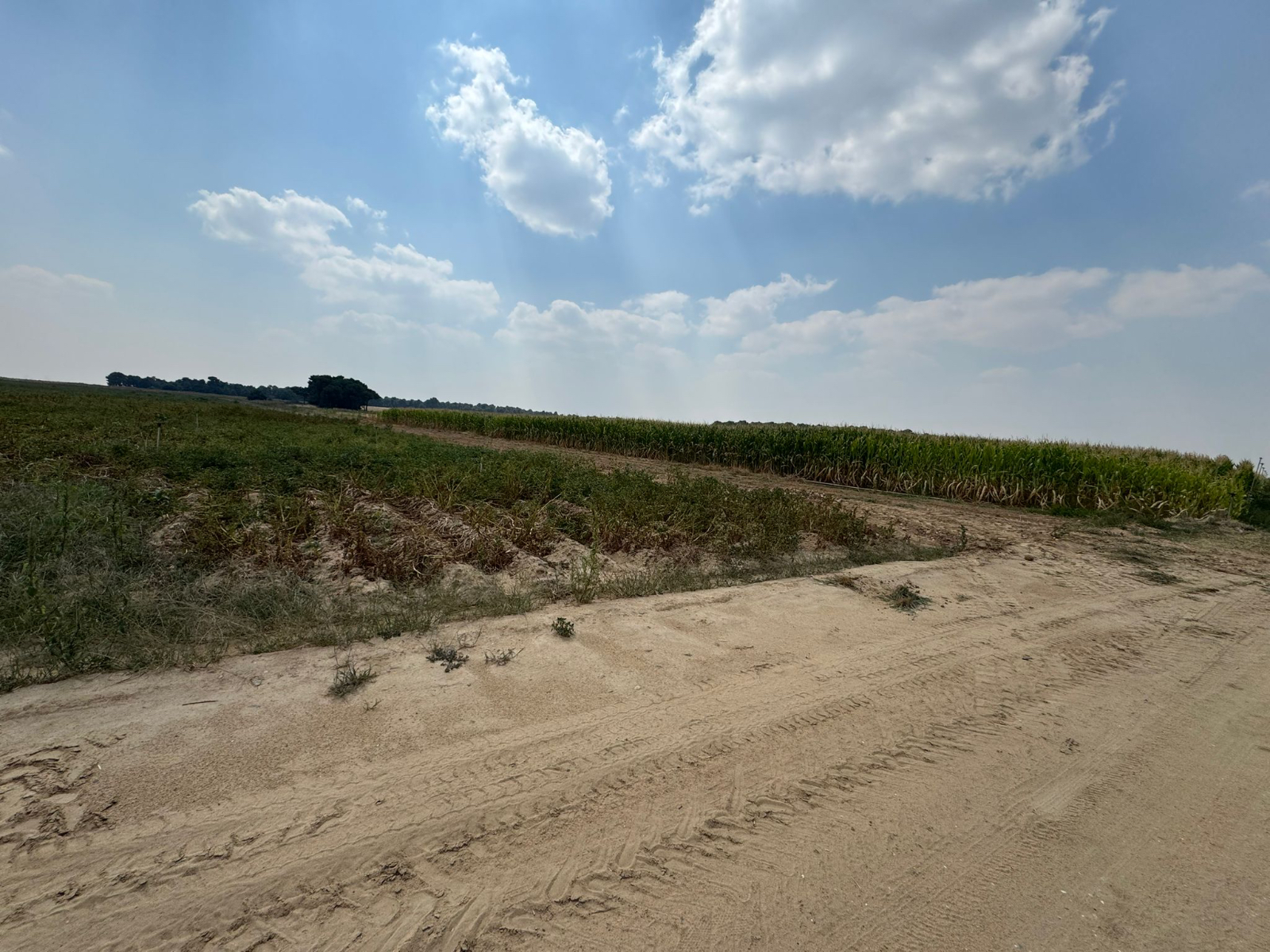El Gobierno de Cantalpino explica que el uso de un cohete de aviso en el encierro de campo no ha tenido peligro alguno