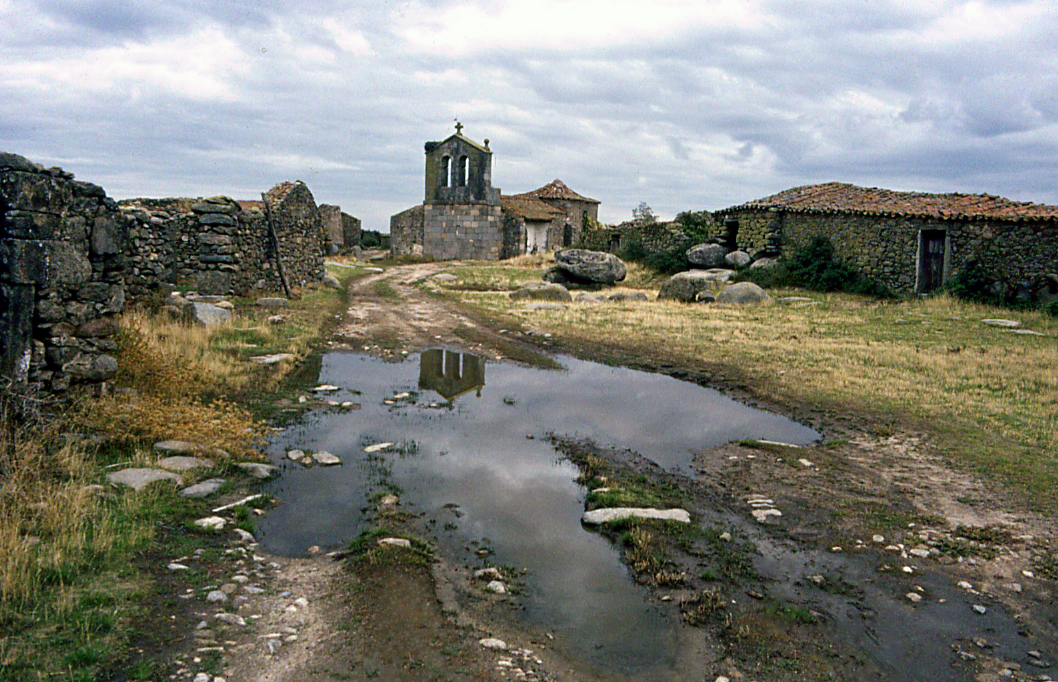 De lo global a lo local 