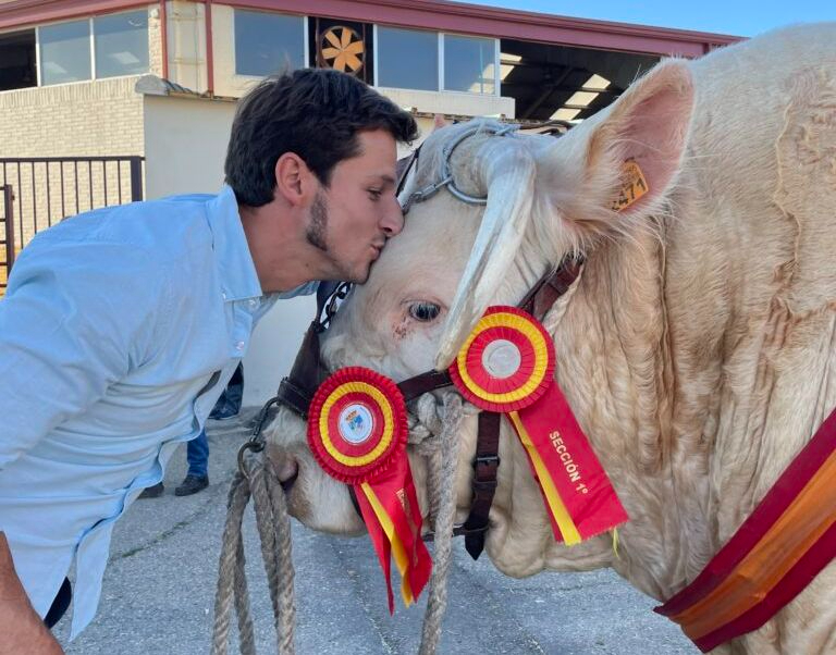 Ángel Bravo, el joven ganadero salmantino que lleva a la élite al charolés