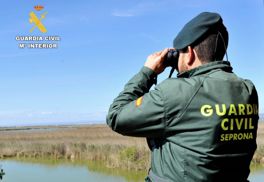 Buscan a un motorista desaparecido desde el sábado en la N-631 en Zamora