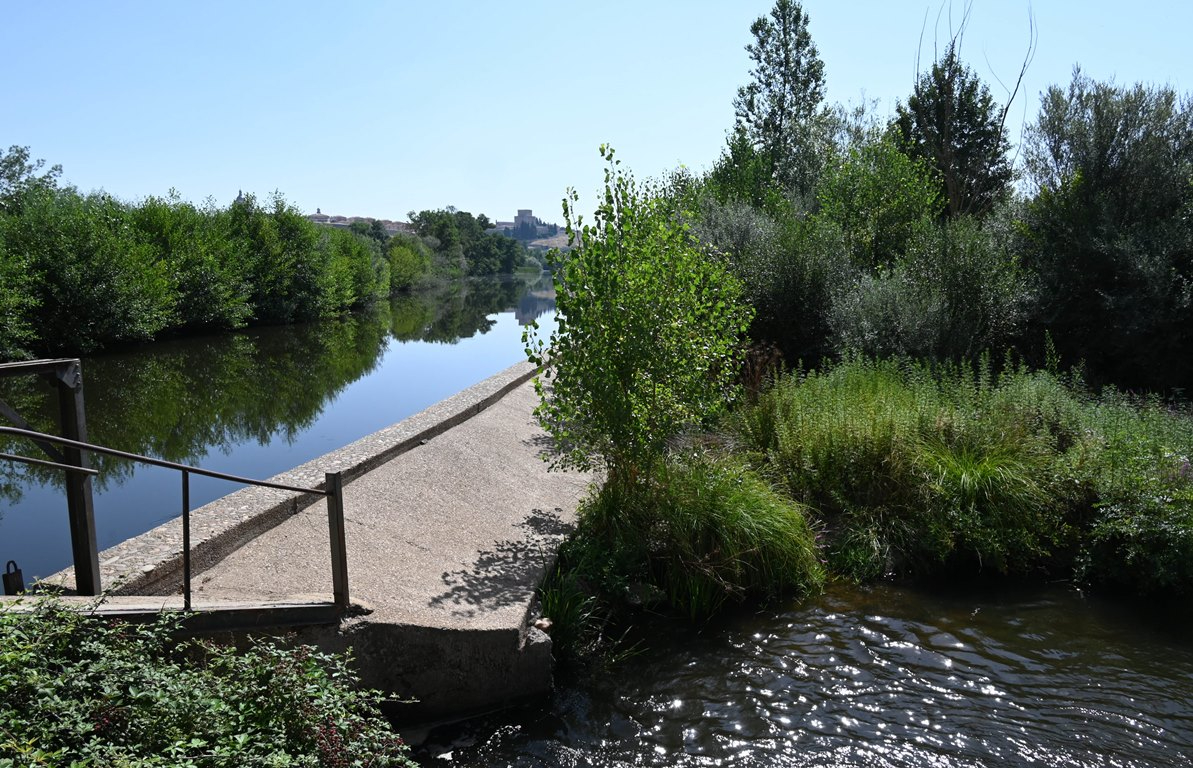 El Ayuntamiento reclama a la CHD la deforestación con urgencia de la pesquera de La Moretona
