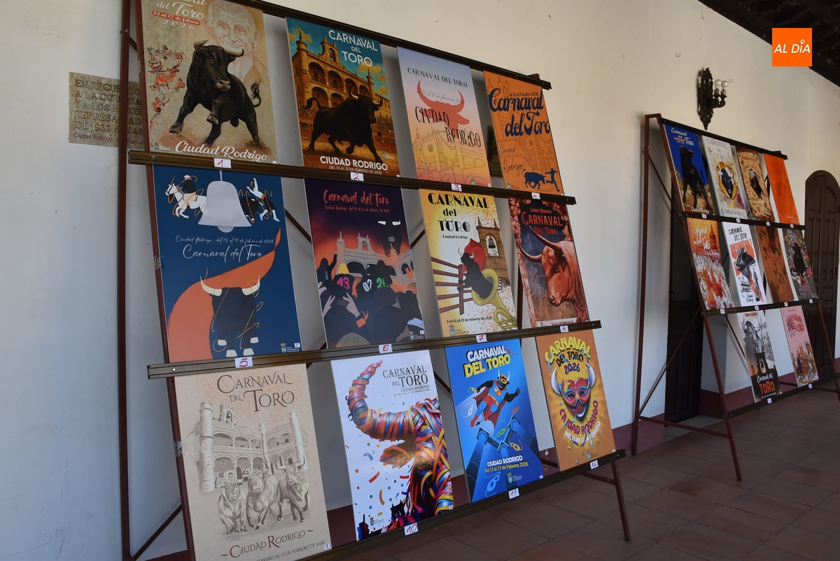 22 trabajos optan a convertirse en el cartel anunciador del Carnaval del Toro 2026