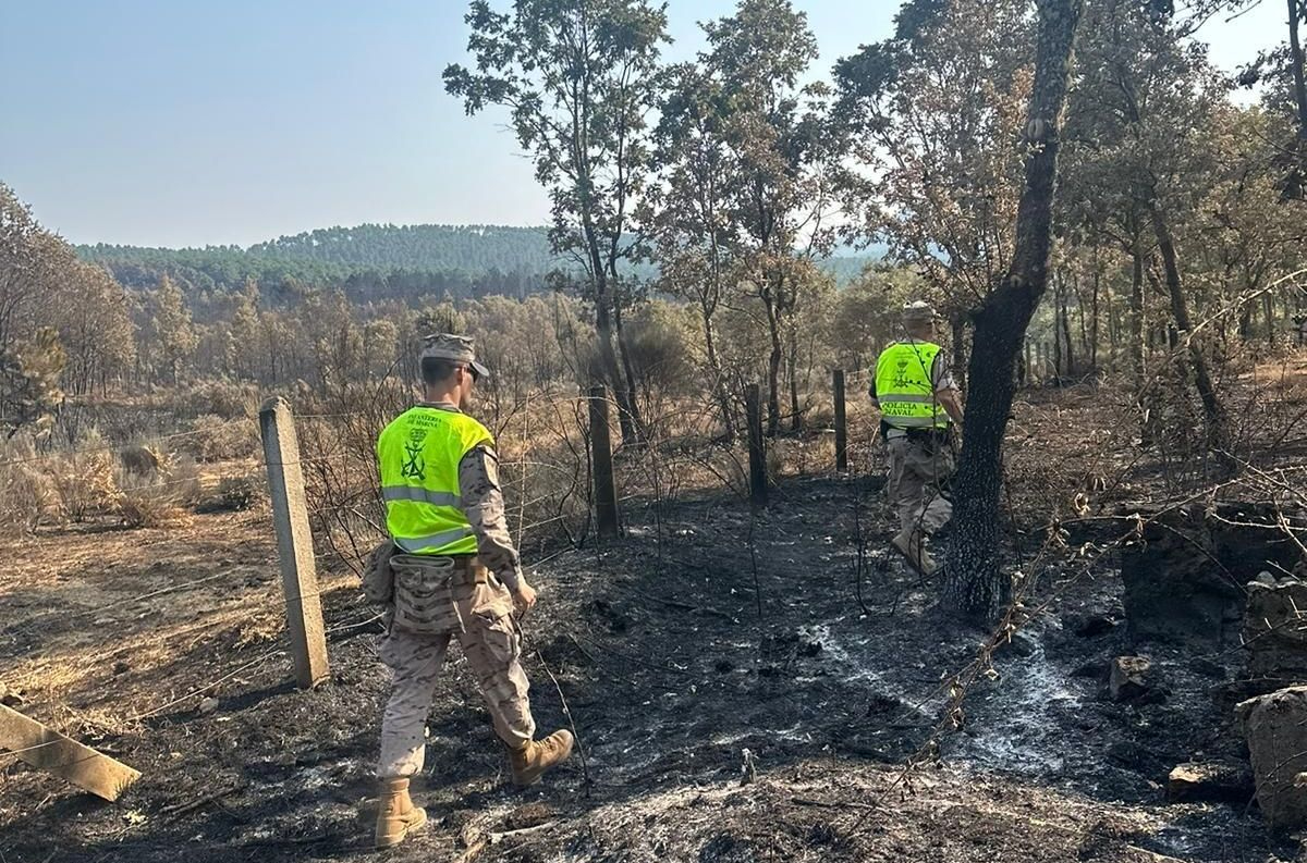 La Armada refuerza la lucha contra el fuego en Salamanca con vigilancia y rescate de ganado