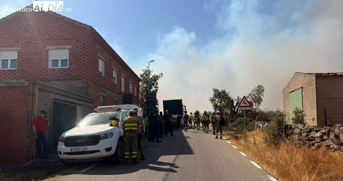 La Diputación reclama al Gobierno la declaración de zona catastrófica para el incendio de Cipérez