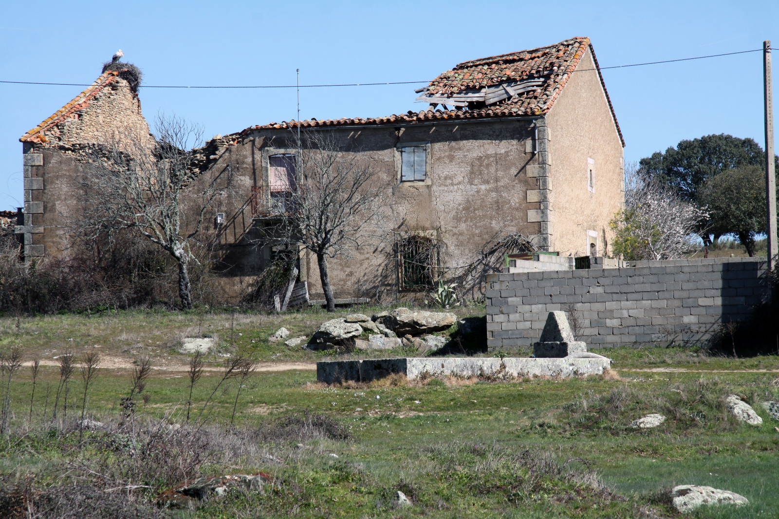 De lo global a lo local 