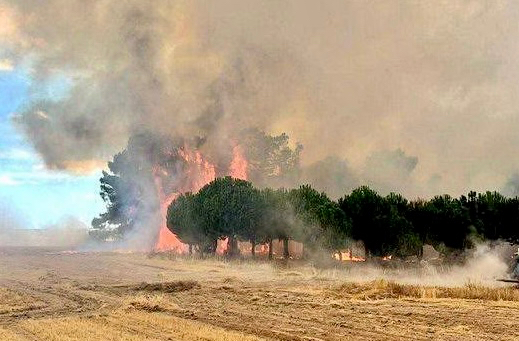 Una decena de medios logran controlar el potente incendio forestal en Fontiveros 