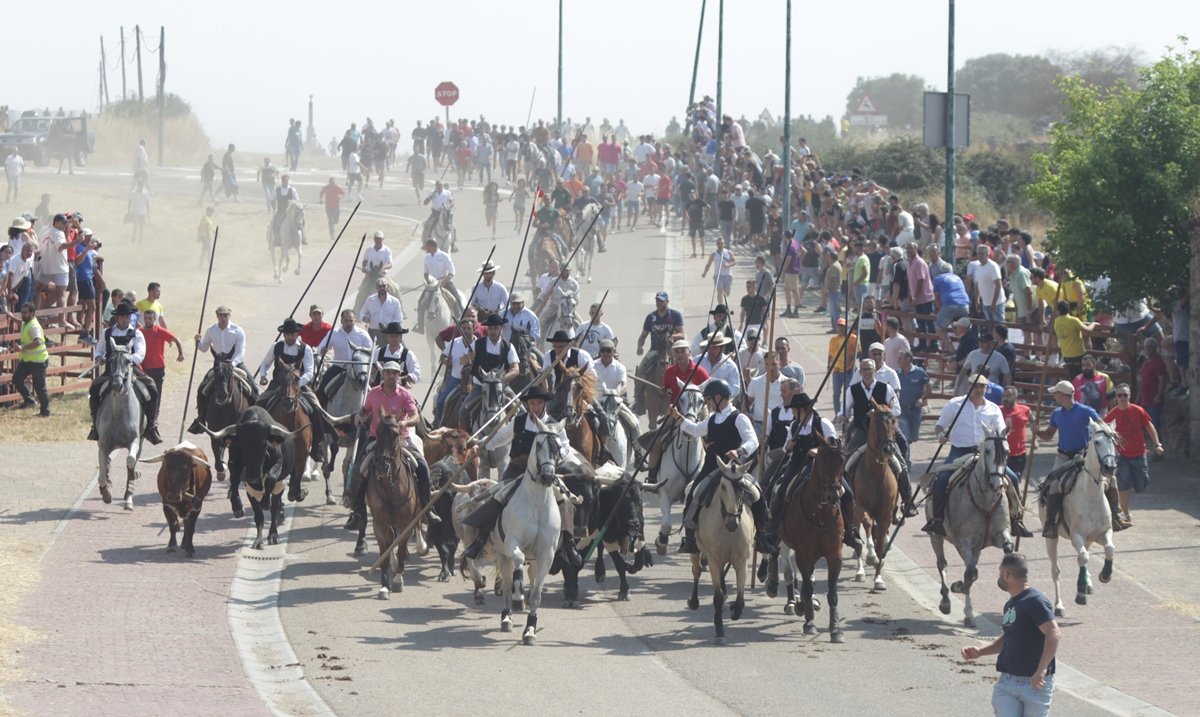 Tres astados se anticipan a la manada principal en el multitudinario encierro sabatino de Fuenteguinaldo