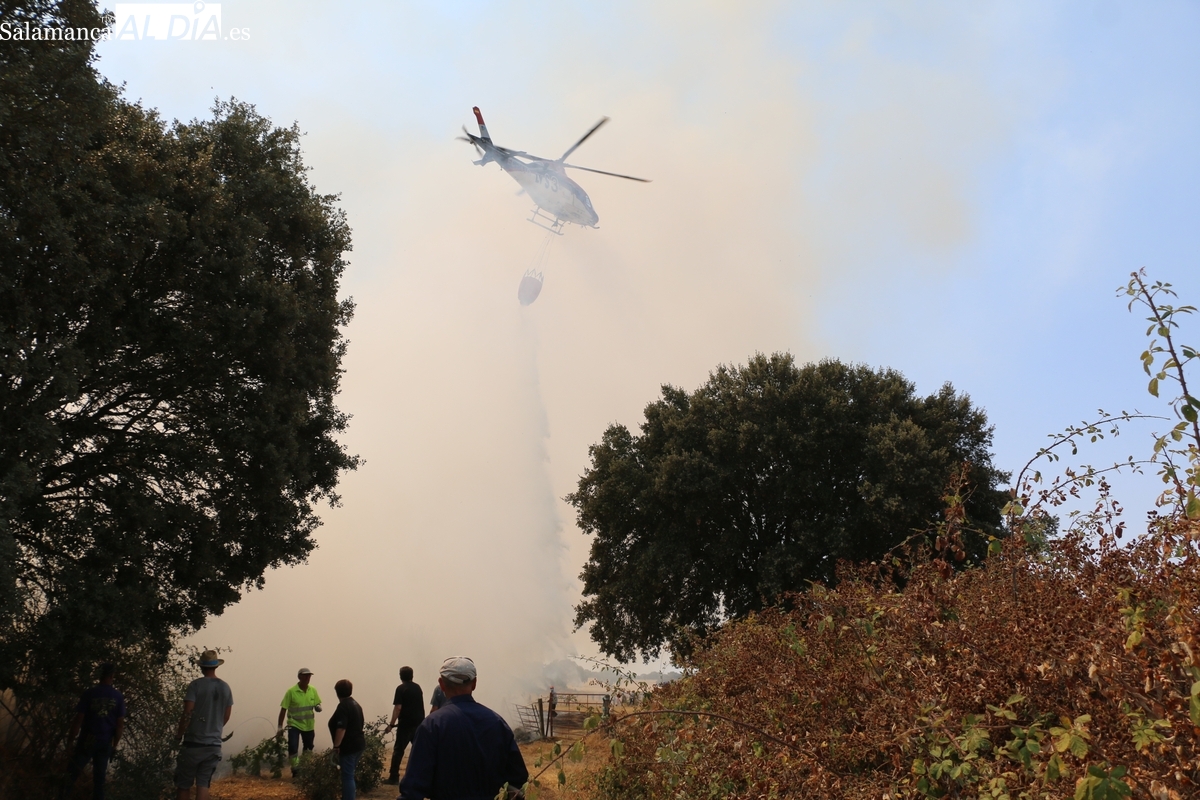 VÍDEO Y FOTOS | Baja a nivel 0 el incendio forestal en Moronta que movilizó un gran operativo y 150 voluntarios