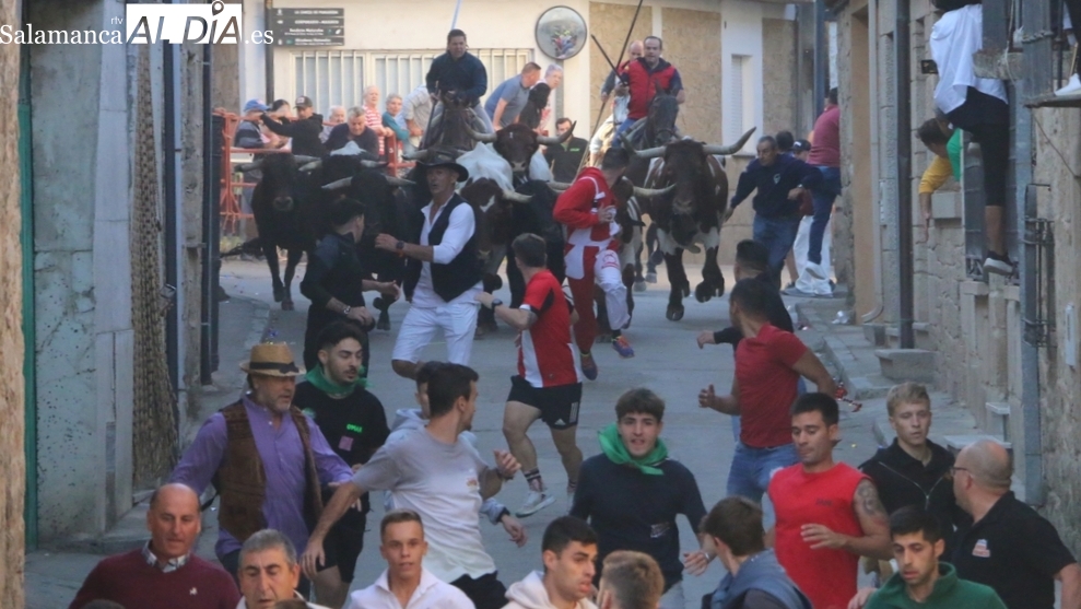 Supersónico encierro de Rollanejo, el primero de las fiestas de Aldeadávila
