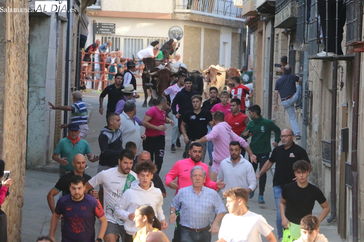 Accidentado encierro de Valdeflores en Aldeadávila con un caballo herido y emoción y peligro en las calles