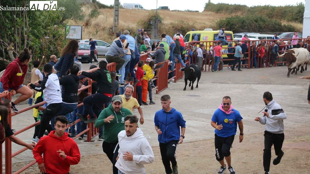 Un intenso programa festivo en Pereña de la Ribera: de los encierros de agosto a la tradición de septiembre