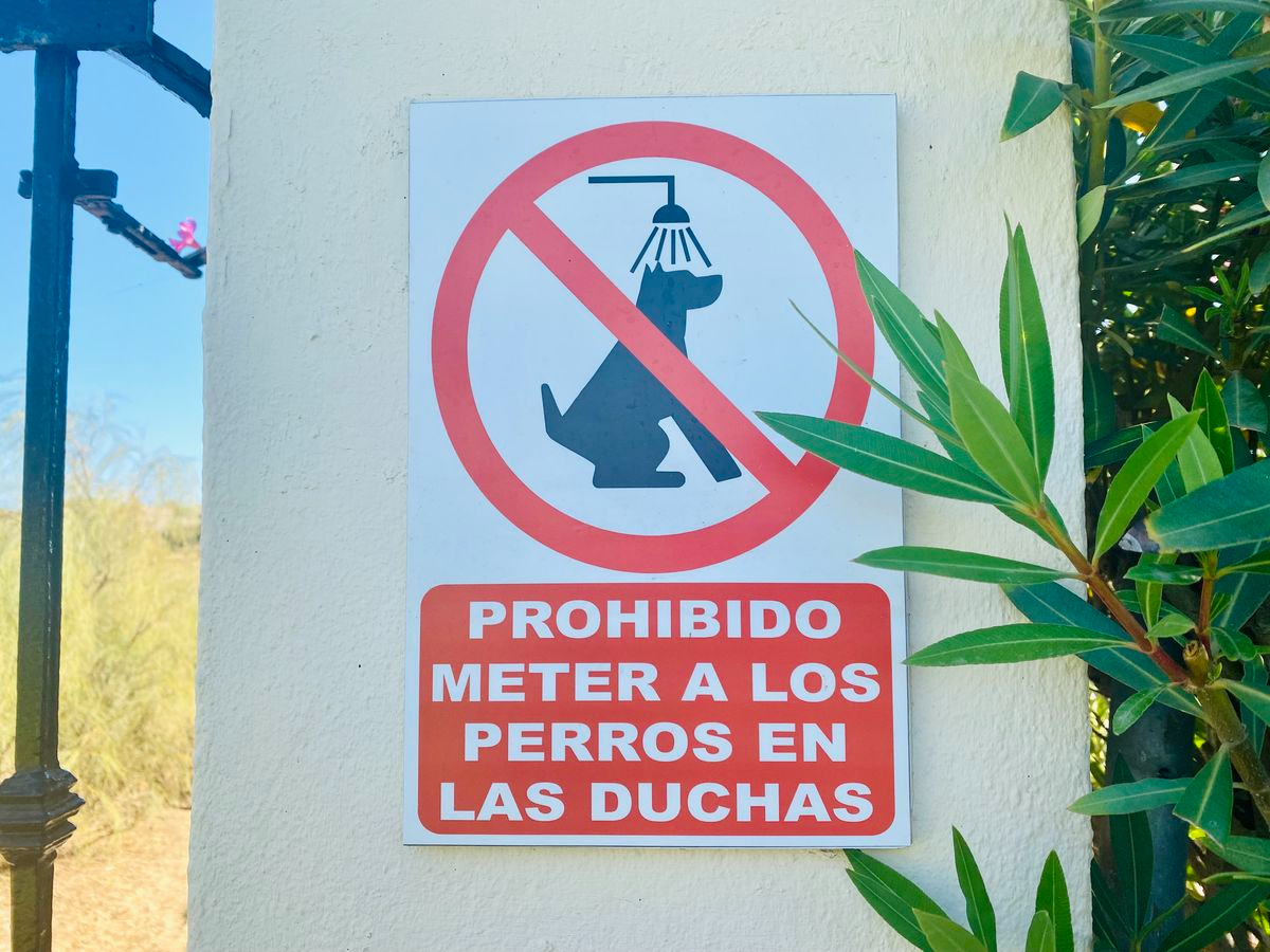 Diez millones de perros