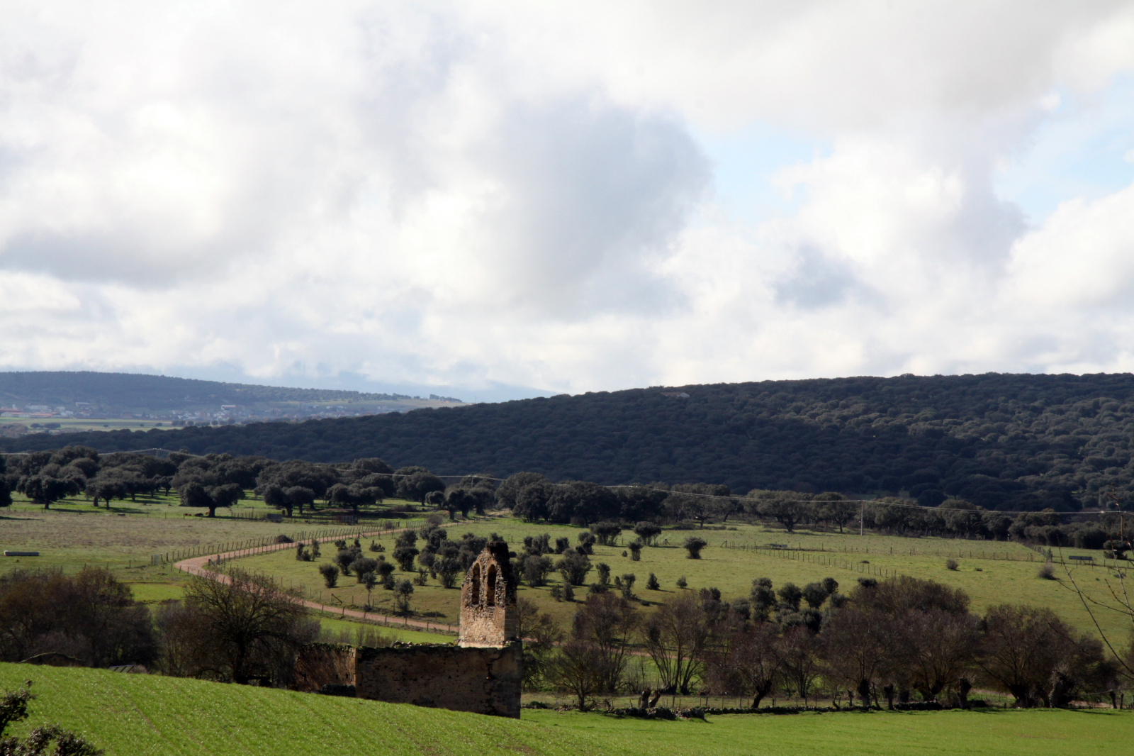 Despoblamiento de Castilla y León - 
