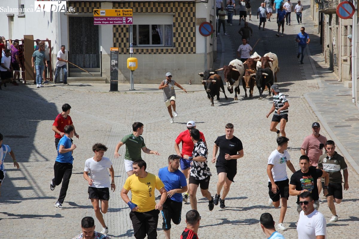 Vilvestre vive con intensidad el primer encierro de sus fiestas en honor a San Sebastián
