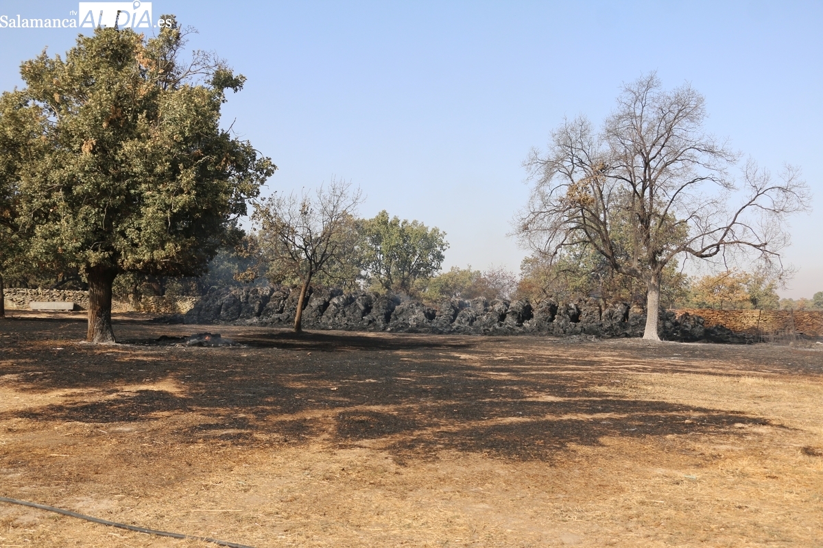 El PP afirma que los socialistas no tienen manera de justificar la exclusión de los municipios salmantinos