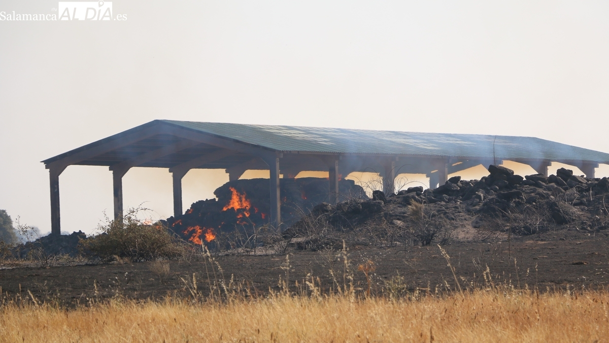 La Junta declara la alerta por incendios en CyL y la alarma extrema en algunas zonas 