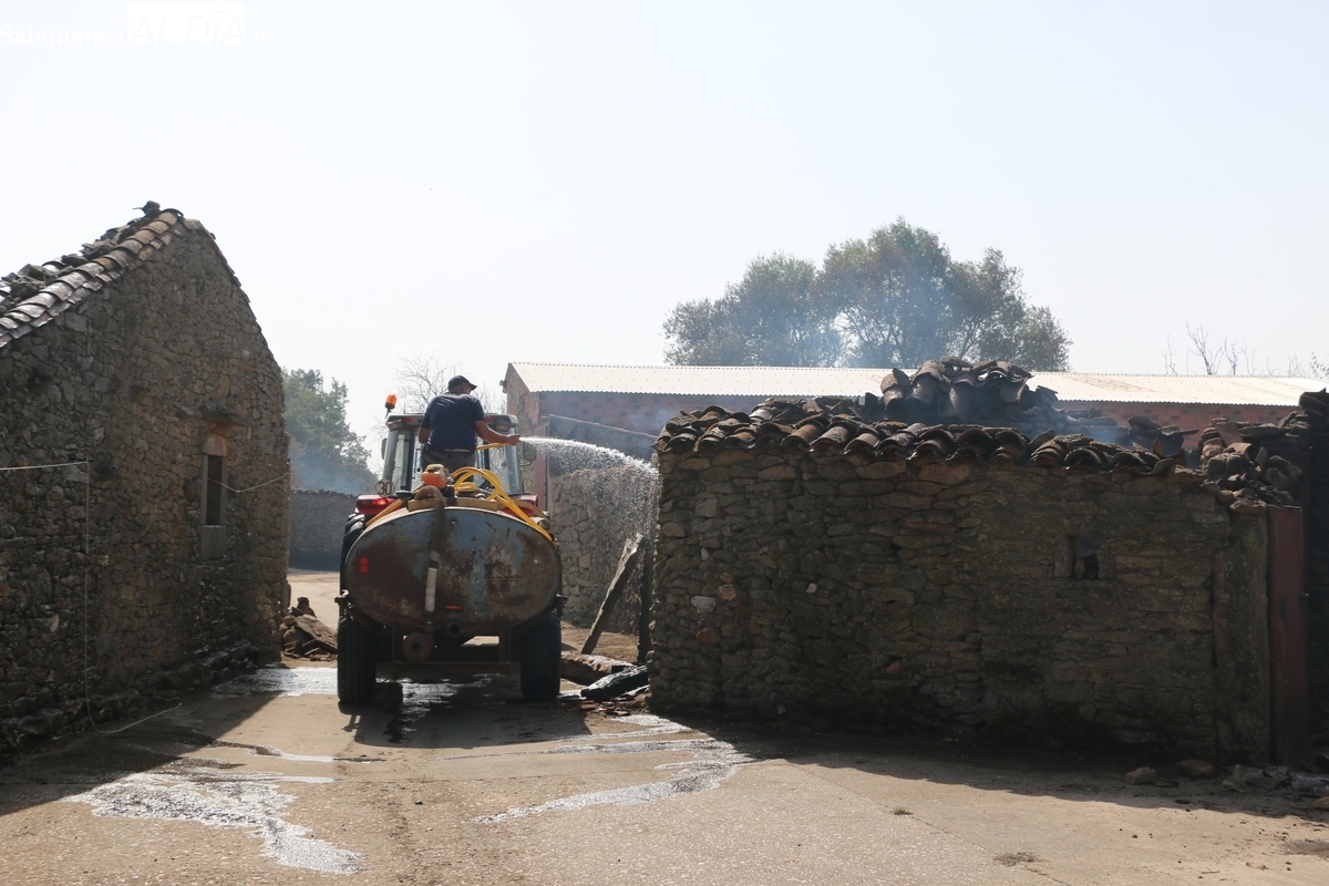 UPL exige al Gobierno declarar el área afectada por el incendio de Cipérez como zona catastrófica