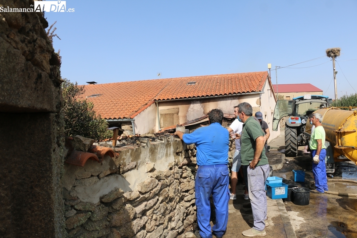 Junta y Diputación no enviaron los papeles para declarar zona catastrófica los incendios de Cipérez y Martín de Yeltes