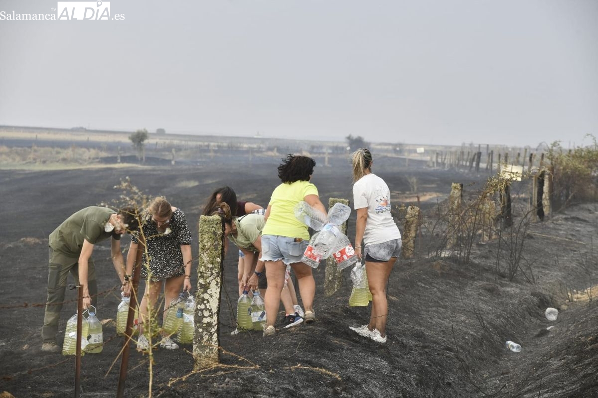 FOTOS | El pueblo entero de Martín de Yeltes se echa al campo con cubos y garrafas para frenar un feroz incendio