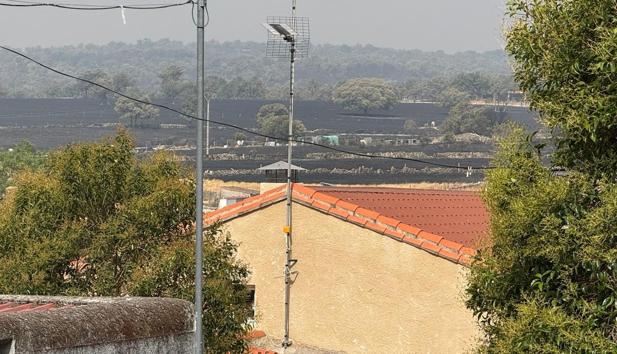 Reclaman inmediatez en la entrega de alimento y agua para el ganado afectado por el incendio de Cipérez