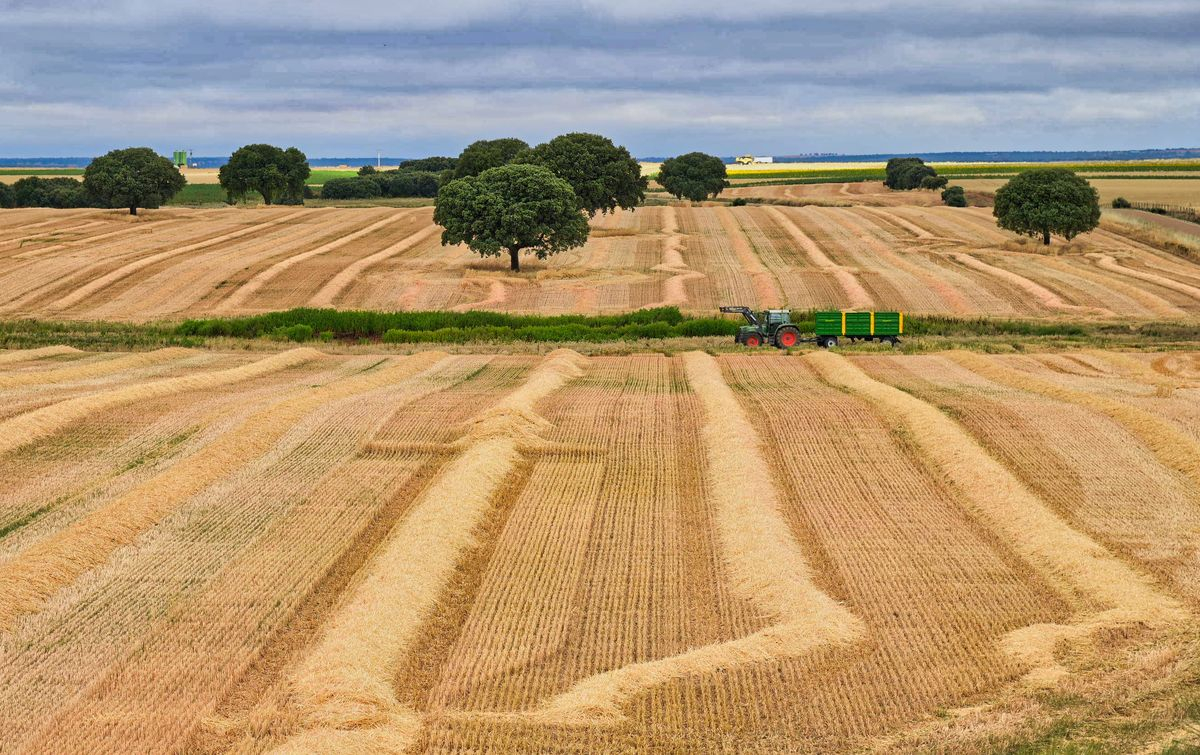 Naturaleza sostenible 