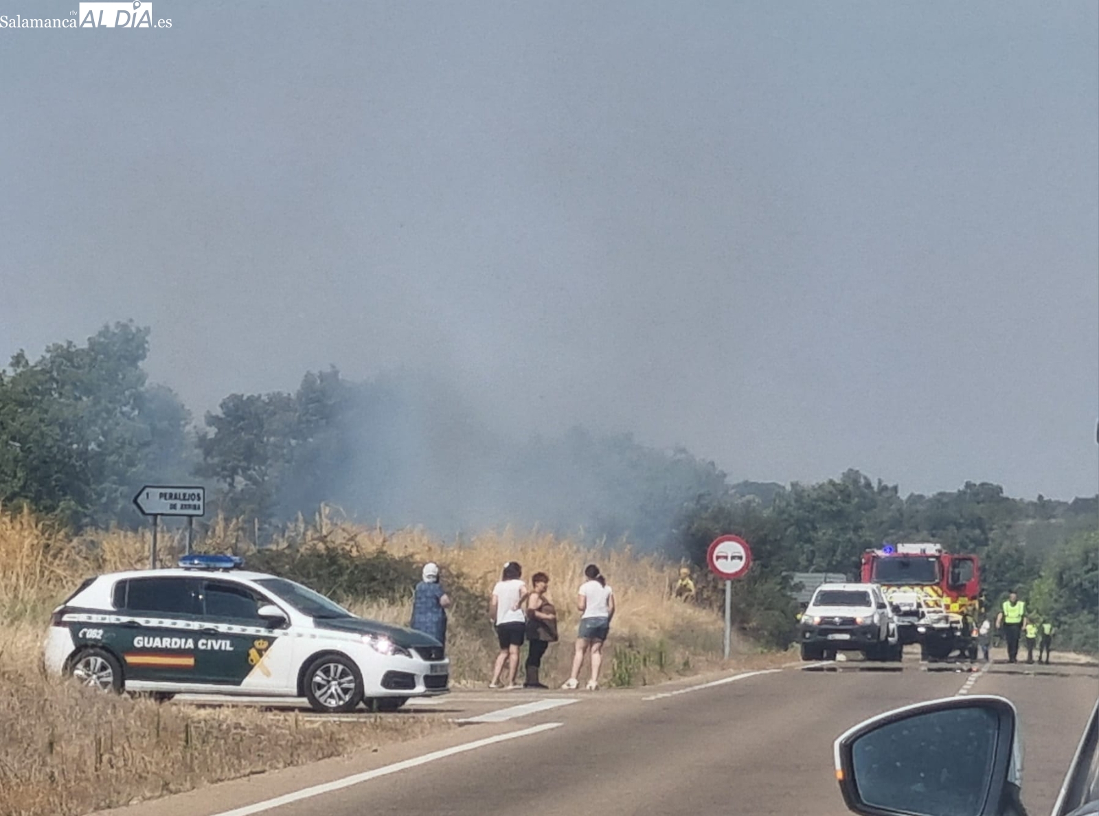 Un despliegue de diez medios controla un fuego en Peralejos de Arriba 