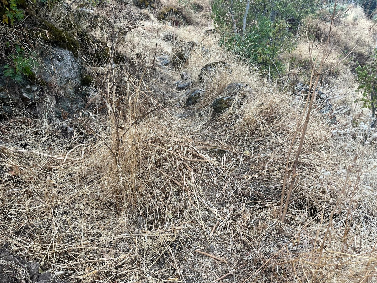 El camino de Unamuno y su excepcional belleza. ¿Peligra porque pueda ser pasto de los incendios forestales? ¡Prevengámoslo!