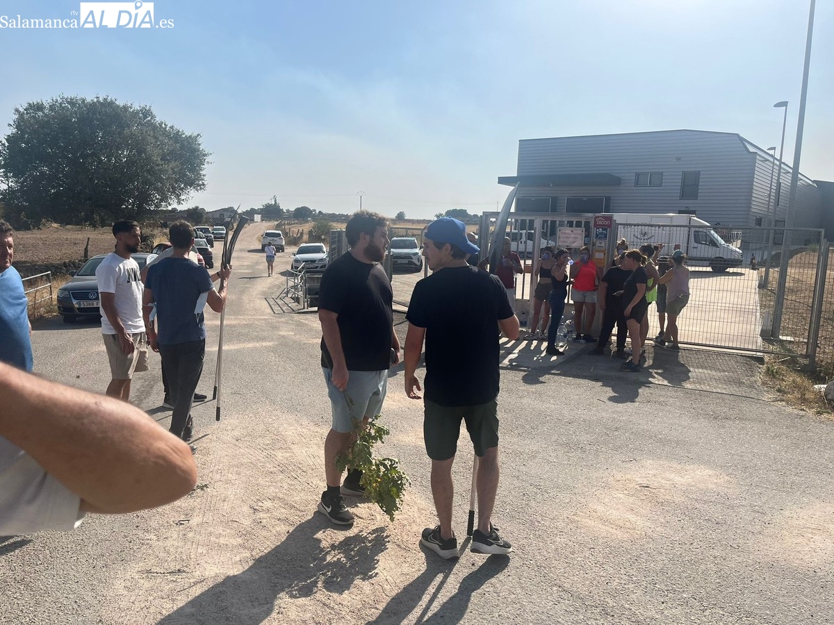 Se reactiva el incendio de Cipérez: la Junta eleva a nivel 2 la peligrosidad por el avance del fuego