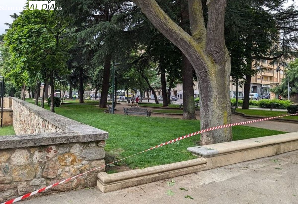 La lista completa de parques cerrados en Salamanca por el viento