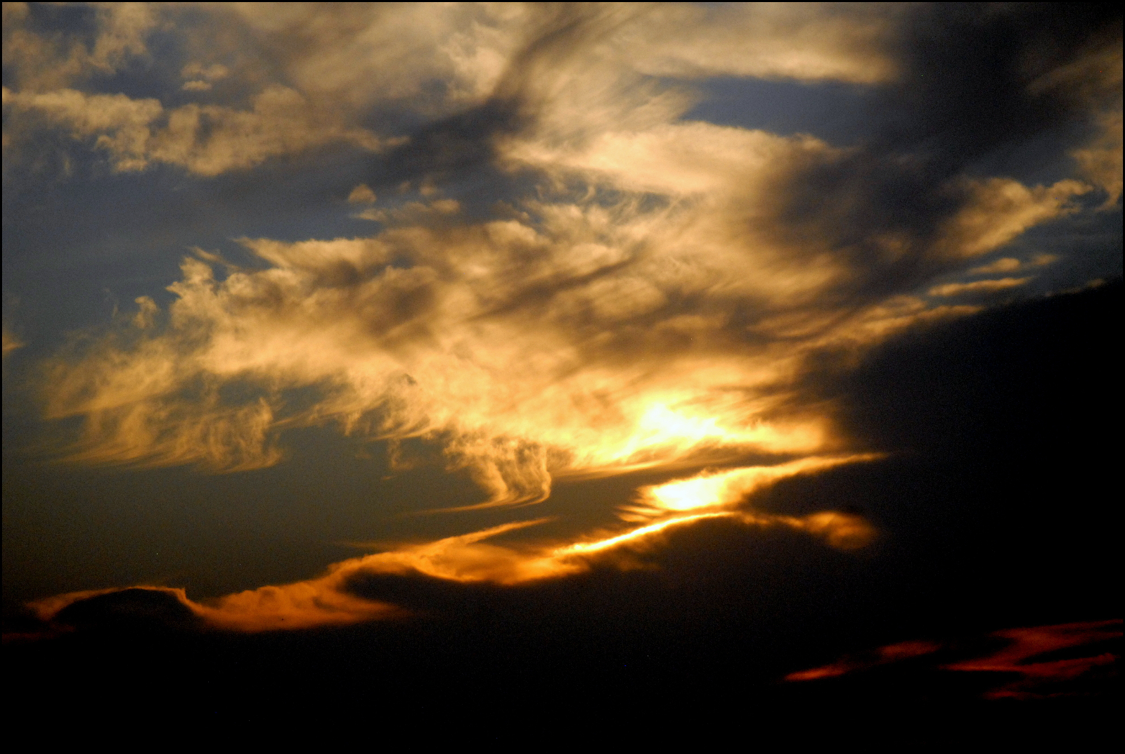 El ardor de los montes