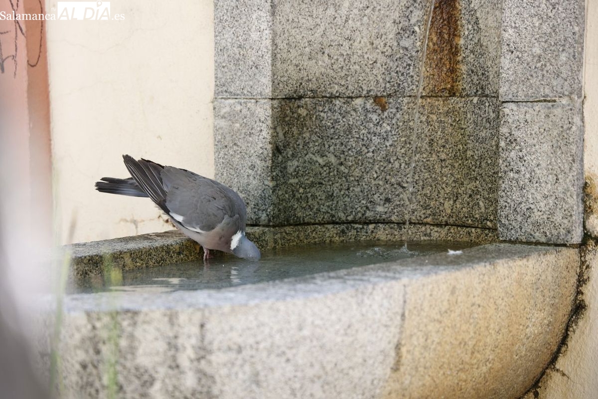 Salamanca, en alerta por tormentas este miércoles antes de un nuevo repunte del calor