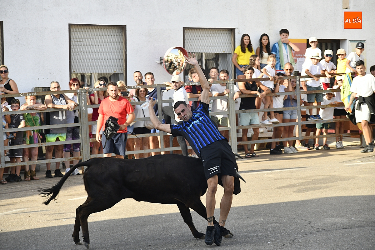 Agallas vive una animada tarde de vaquillas pese a la intensa ola de calor